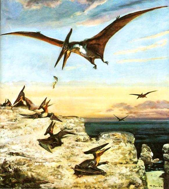 Pteranodon-painted-by-Zdenek-Burian.jpg
