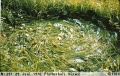 Thumbnail for version as of 12:47, 2 April 2008