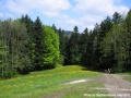 Thumbnail for version as of 04:45, 7 July 2011