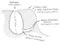 Thumbnail for version as of 01:30, 29 September 2021