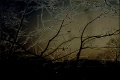 Thumbnail for version as of 01:54, 8 November 2017