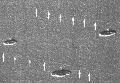 Thumbnail for version as of 21:46, 21 May 2009