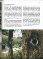 Thumbnail for version as of 00:40, 6 March 2020