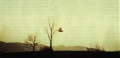 Thumbnail for version as of 21:58, 19 May 2009