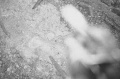 Thumbnail for version as of 17:30, 25 November 2020