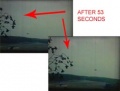 Thumbnail for version as of 13:44, 20 October 2009