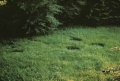 Thumbnail for version as of 21:55, 21 May 2009